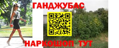 герыч Новодвинск
