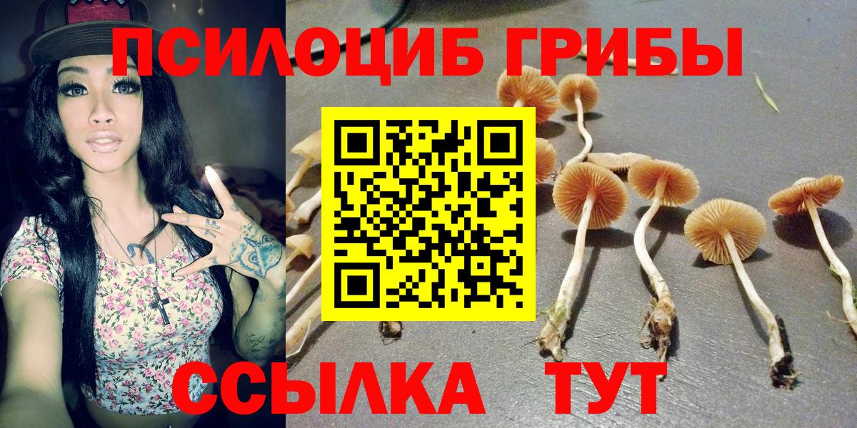 Урюпинск  Галлюциногенные грибы Cubensis  Галлюциногенные грибы Psilocybine cubensis  Вход с VPN 